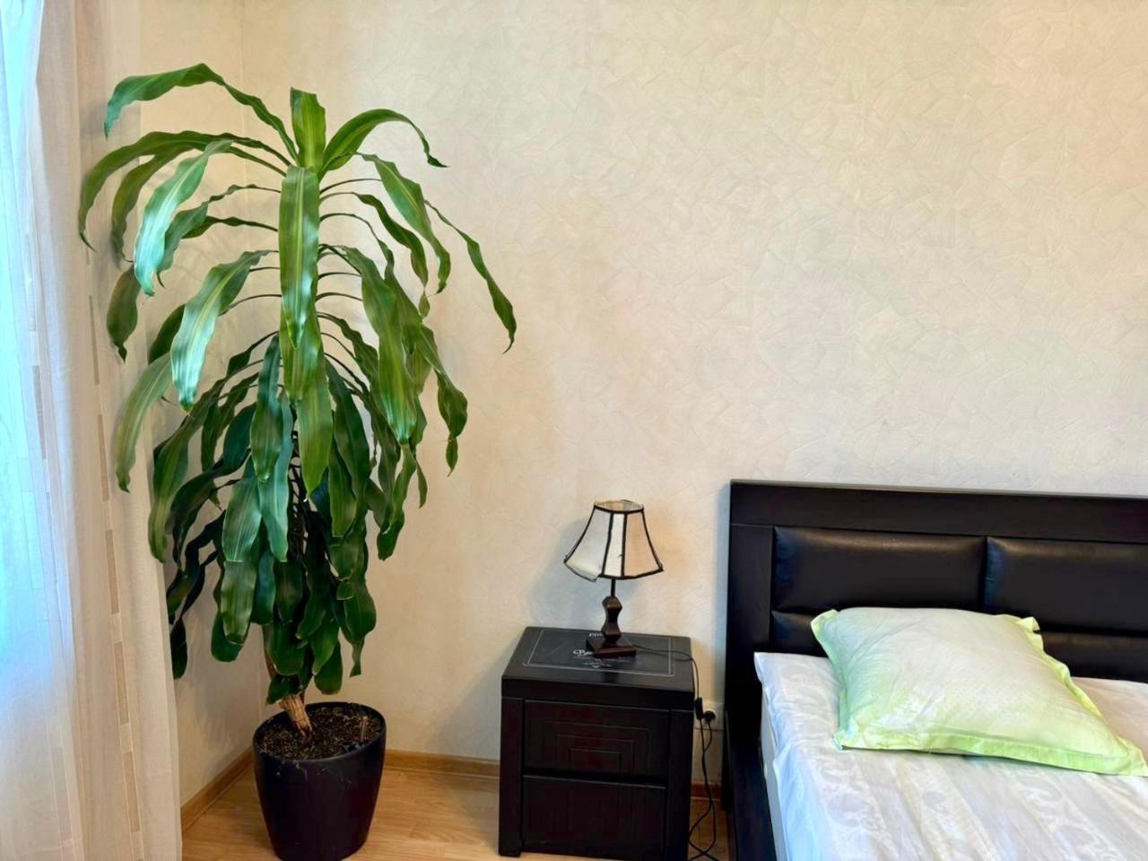 Home Inn-Guesthouse لاجوديخي المظهر الخارجي الصورة